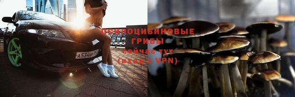 мдпв Верхний Тагил