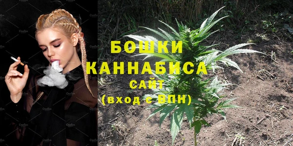 мдпв Верхний Тагил
