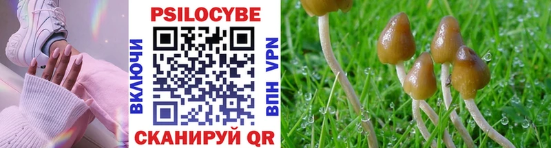Купить где  Лабытнанги  Псилоцибиновые грибы Cubensis 